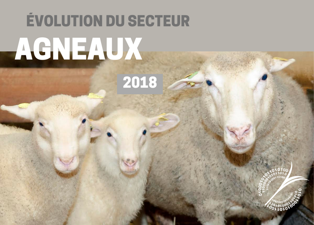 Pour les partenaires : ÉVOLUTION DU SECTEUR - AGNEAUX 2018